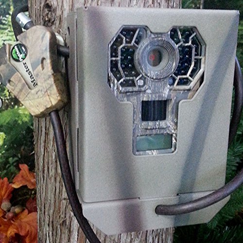 How Do Trail Cameras Work A Complete Guide