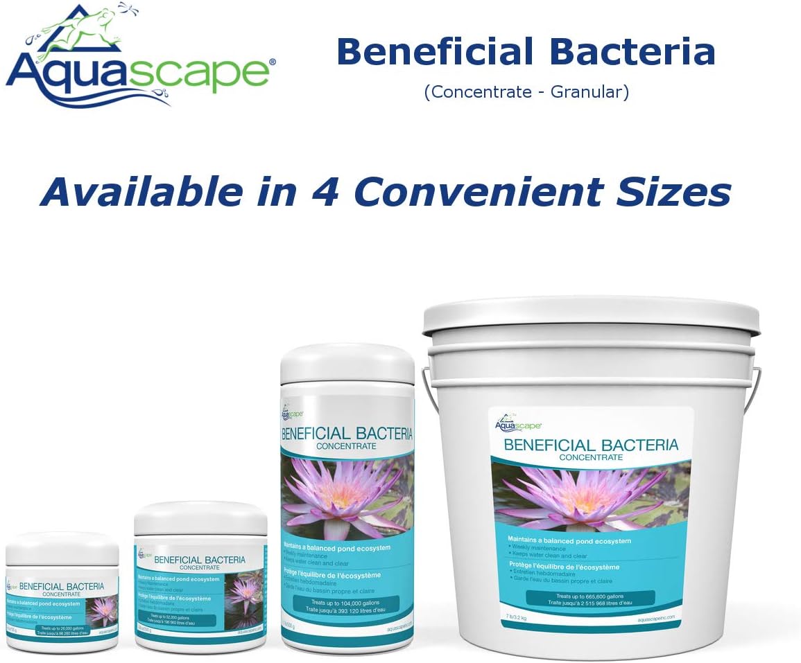Aquascape 98949 Beneficial Bacteria Concentrate for Pond and Water Features, 1.1-Pound, white : Pond Water Treatments : Garden & Outdoor