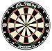Alien Competition Bristle Dartboard