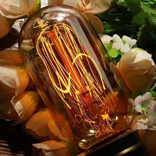 Antique Vintage bulbs,Elfeland Edison Filament Light Bulbs Dimmable 40W Classic Squirrel Cage Filament Incandescent Light Bulb 180LM E26/E27 Medium Base(2 Pack) - Thumbnail 2