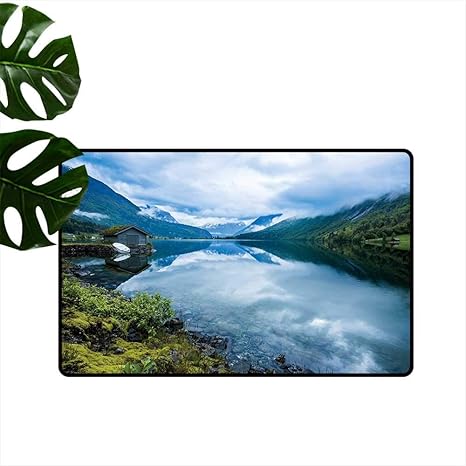 Amazon Com Peoniy Home Nature Outdoor Floor Mats Landscape
