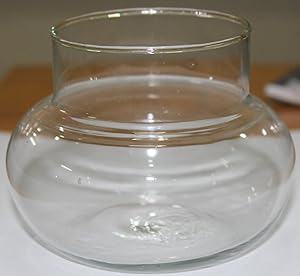 Natures Buggy Glass Flower Pot, 6-inch,1.5L (White)