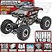 Redcat Racing Everest-16 Electric Rock Crawler with 2.4Ghz Radio Control (1/16 Scale), Red