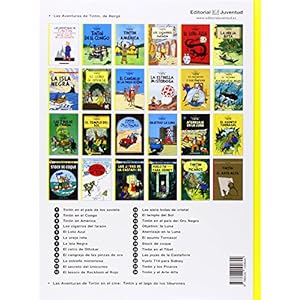 Aterrizaje En La Luna/ Moon Landing (Las aventuras de Tintin) (Spanish Edition)