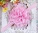 niceeshop(TM) 10 Pieces Baby Girls Cute Flower Chiffon Headband Hair Accessories