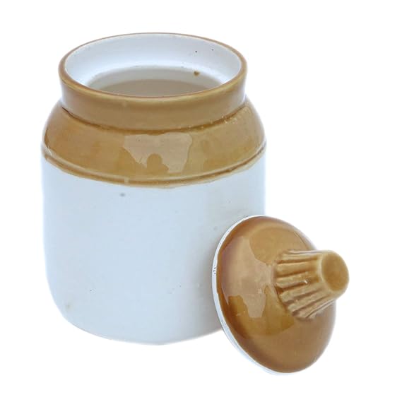 1Key Ceramic Handmade Pickle Jar with Lid,300ml Dining Table Pickles Containers and an Ideal
