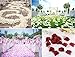 YoungLove 1000 Pieces Black Rose Petals Artificial Fake Rose Valentine Petals Wedding Party Decorations, Black