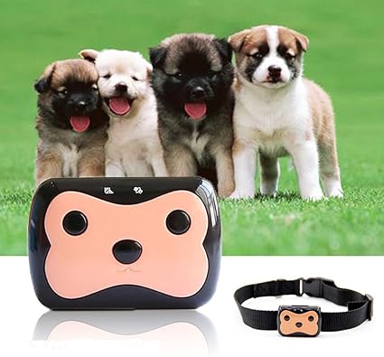 Mini Gps Gsm Tracker Chien Chat Suivi En Temps Reel Collier De Surveillance A Distance Collier Etanche Tk09 Amazon Fr High Tech