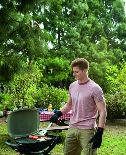 Weber 6558 Griddle for Q1000 Series Grill