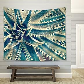 Sharp Pointed Agave Plant Leaves - Fabric Wall Tapestry Home Decor - 51x60 inches