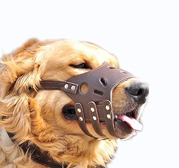 Pets Empire Pet Adjustable Dog Muzzle Anti Bite Bark Allow Drink Soft Leather 1 Piece Color May Vary (Medium)