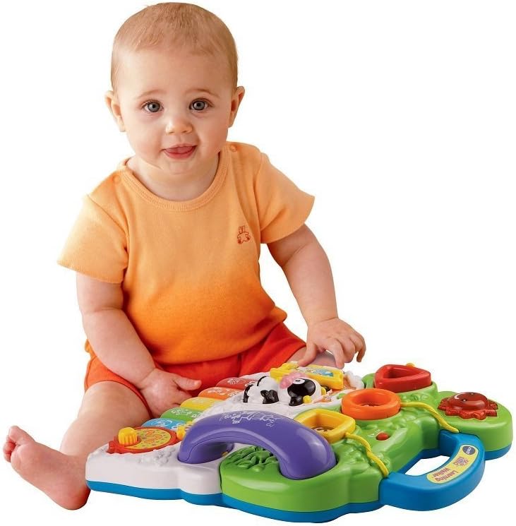 sit to stand vtech walker