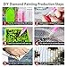 DIY 5D Diamond Painting Kits for Adults, Crystal Rhinestone Full Drill Diamond Embroidery Paintings Arts Craft for Home Wall Decor, Great Gifts for Women and Girls (Unicorn, 11.8 X 15.7 in)