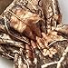 HOT SHOT Youth Boy’s Camo Defender Glove – Realtree Edge Outdoor Hunting Camouflage Gear