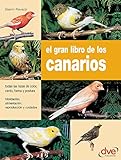 El gran libro de los canarios (Spanish Edition) by Gianni Ravazzi