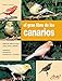 El gran libro de los canarios (Spanish Edition) by Gianni Ravazzi