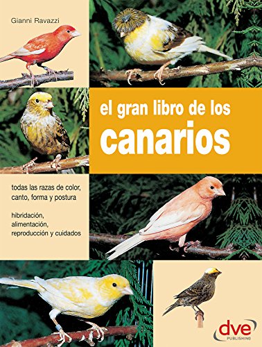 El gran libro de los canarios (Spanish Edition) by Gianni Ravazzi