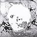 A Moon Shaped Pool primary
