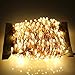 ER CHEN LED String Lights Plug in, Warm White Copper Wire Starry Fairy Lights Decorative Lights with Adapter for Christmas Party Wedding(165ft/50m 500LED)