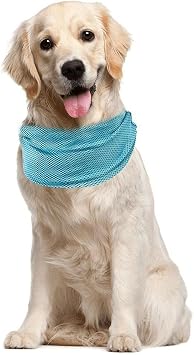 Amazon Zytc ペット犬の冷却襟犬の氷チャイルドアウト夏のためのスカーフ M Zytc ベーシック首輪 通販