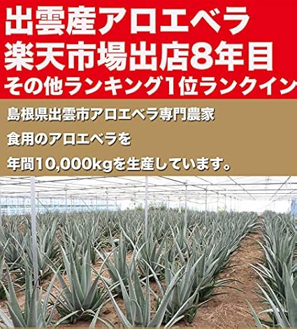 Amazon まいにちアロエ 10パック 出雲産アロエベラ 食用アロエ カットアロエ アロエジュース アロエヨーグルトなど あろえん 惣菜 チルド食品 通販
