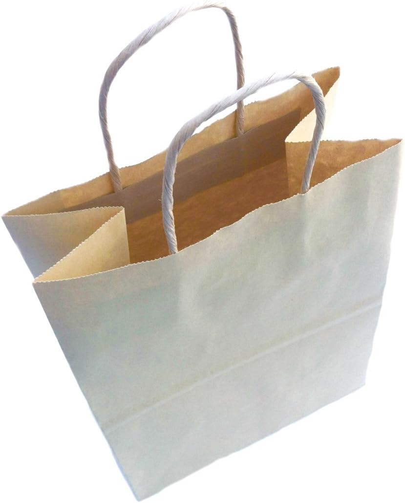 Kraft Brown Paper Bag with Handles 10" x 8" x 4.5" 25 count