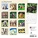 2017 Monthly Wall Calendar - Baby Animals