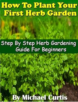 How To Plant Your First Herb Garden - 