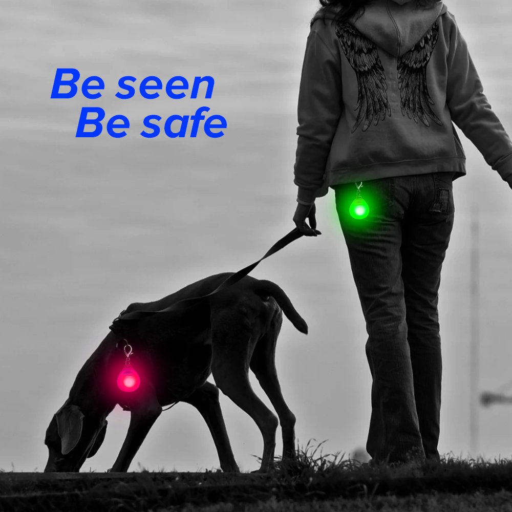CLAN-X LED Dog Tag, Weather Resistant Light up Pet ID Tag Dog Collar Safety Lights for Night Walking, Batteries Included Dog Pendants by Pack of 2PCS(Pink, Green)