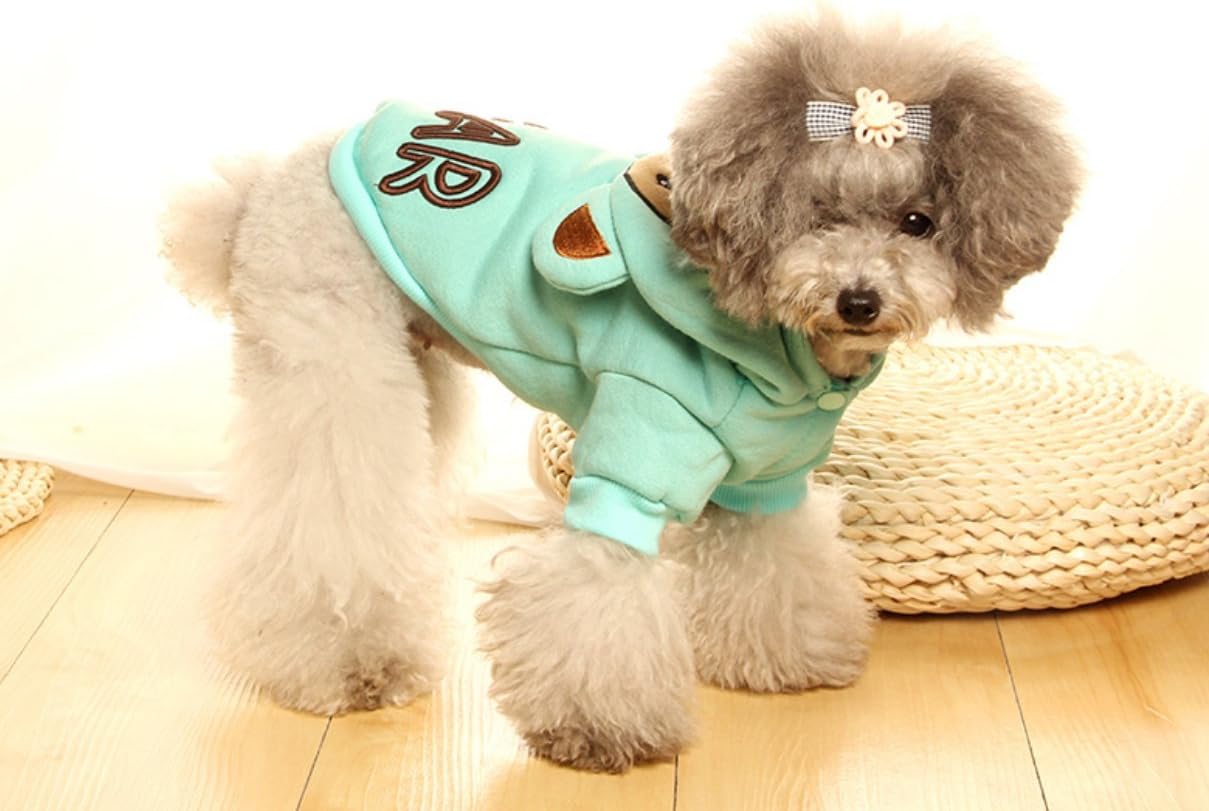 decorative wooden bird cages