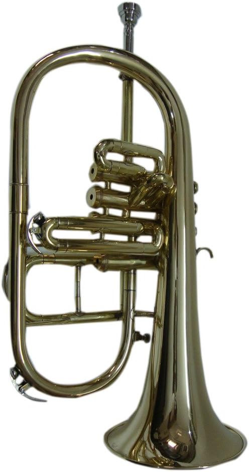 OSWAL Bb/F Silver Nickel 4 Valve Flugel Horn+W/Case+Mouthipiece: Musical Instruments