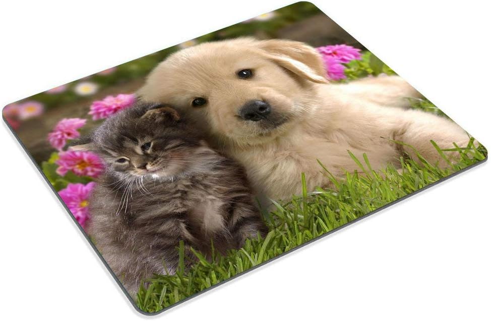Wasach Mouse Pad Animals Cat Kitten Dog Golden Retriever Puppy Mousepad Rubber Gaming Mat 9.5 X 7.9 Inch (240mmX200mmX3mm) - Image 5