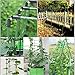G-LEAF 4Ft Tomato Garden Stakes Cage Plastic Coated Steel Tube Plant Sticks for Tomato,Cucumber,Bean,Tree,Pack of 25