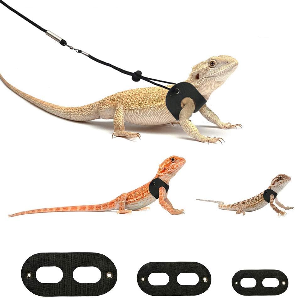 chameleon leash