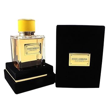 dolce and gabbana velvet