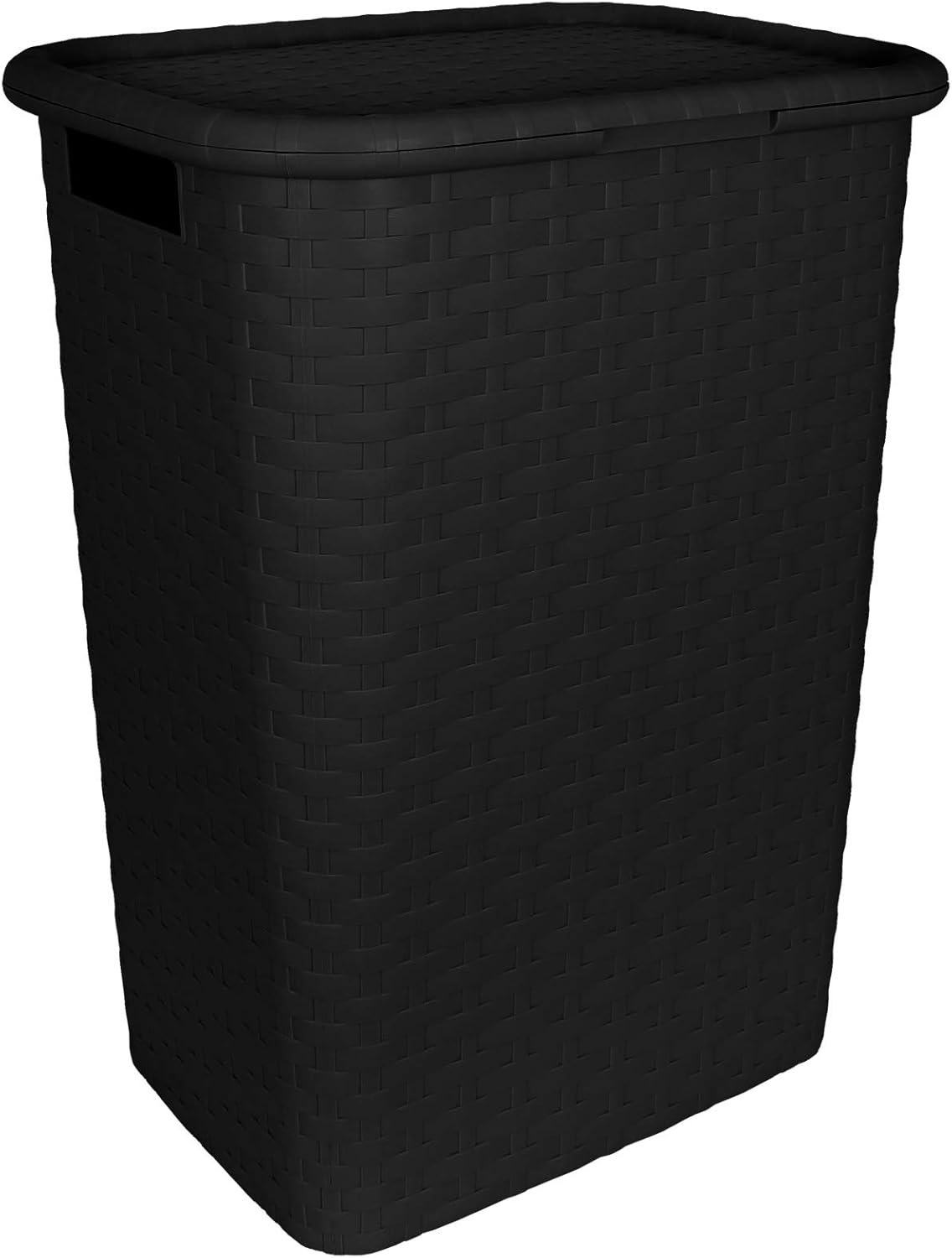 TW24 Wäschekorb mit Deckel Rattan-Optik 60L mit Farbwahl Wäschetruhe Wäschebox Wäschesammler Wäschekiste (Schwarz)