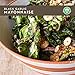 Chosen Foods Avocado Oil Mayo Black Garlic 12 oz., Non-GMO, Gluten Free, Dairy Free for Sandwiches, Dressings, Sauces and Recipes