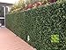 Ranka Artificial Myrtle Greenery Panels 40x40 inches