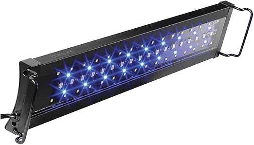 Themusicbox On Twitter Aqua Aquarium Light Blue Opaque Vinyl Recordstoreday Records Ltd Indie Wallingford Oxfordshire Ask For Other Titles Https T Co Tf4kxccbxz