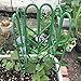 Indoor Plant Trellis for Climbing Plants Bundle Pack - 6 Leaf Shape Garden Plant Supports Houseplants Trellis, 18 Plant Clips, 12 Zip Ties, 1 Roll Wire Twist Tie for Potted Vine Vegetable Flower