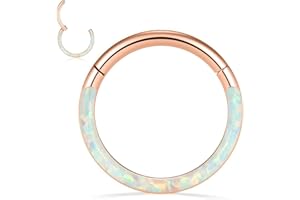 PEAKLINK 16G 18G 316L Stainless Steel CZ/OPAL Septum Piercing Septum Clicker Ring Hinged Nose Ring Daith Earrings Conch Piercing Jewelry Helix Cartilage Tragus Lobe Belly Hoop Earring