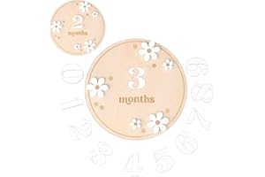Baby Monthly Milestone Signs, Wooden Daisy Baby Monthly Milestone Cards Blocks with 1-12 Months Number, Babys Announcement Si