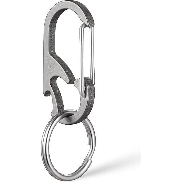 Stainless Steel Carabiner Keychain