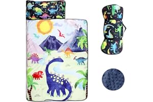 DAYEEBALL Nap Mat for Toddler Boys, Kids Sleeping Bag with Removable Pillows and Thicken Blanket, Baby Slumber Bags for Preschool, Kindergarten, Sleepovers Travel and Camping, Dinosaur 23x55inches