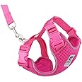 RC Pets Adventure Kitty Harness Includes Adjustable, Airmesh Fabric, 6' Leash and D-Ring Cat Walking Harness | Raspberry, Medium