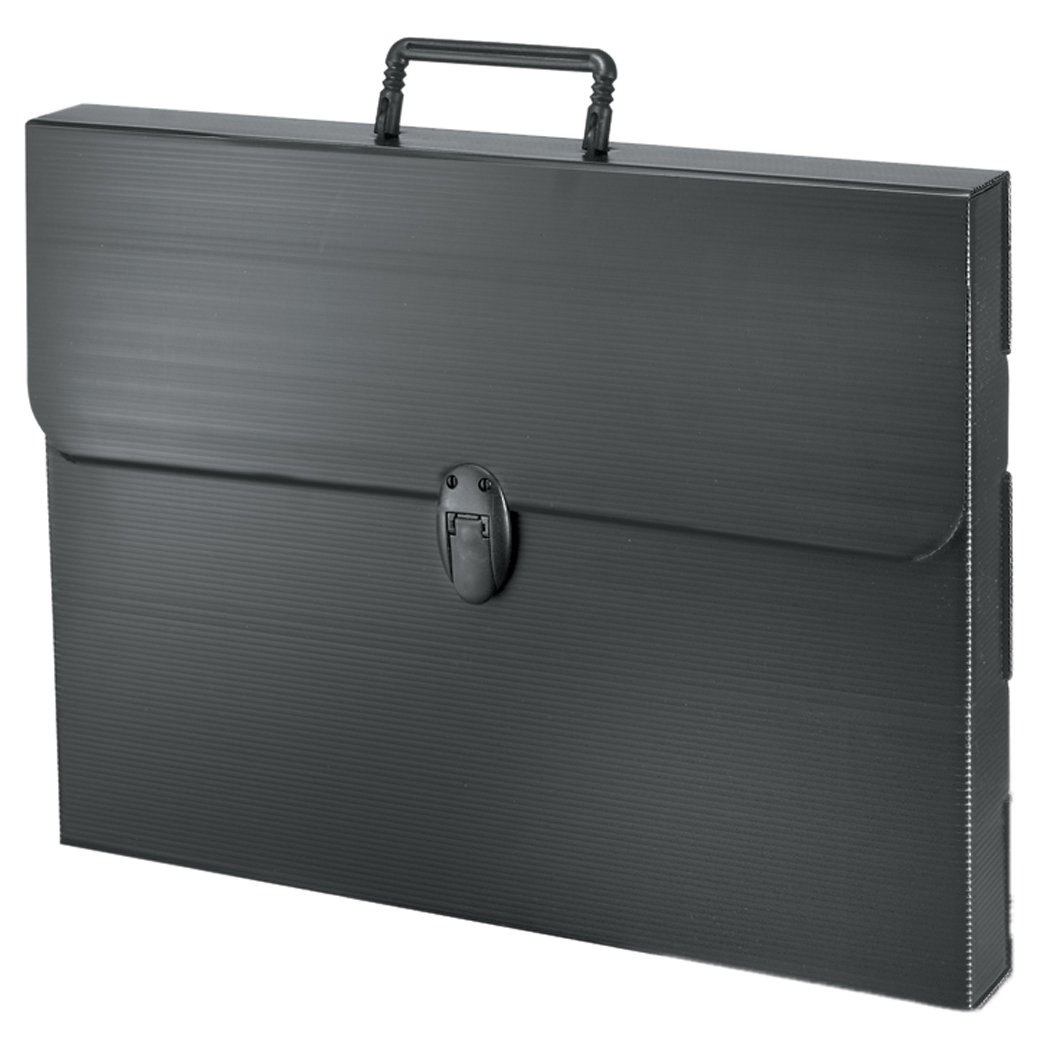Artcare A1 Polylite Case, Black, Synthetic Material, 92 x 5 x69 cm