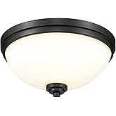 Z-Lite 3 Light Flush Mount 443F3-MB, Matte Opal,15" Round