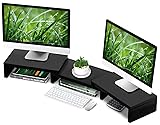 TAVR Dual Monitor Stand Riser Office Desktop