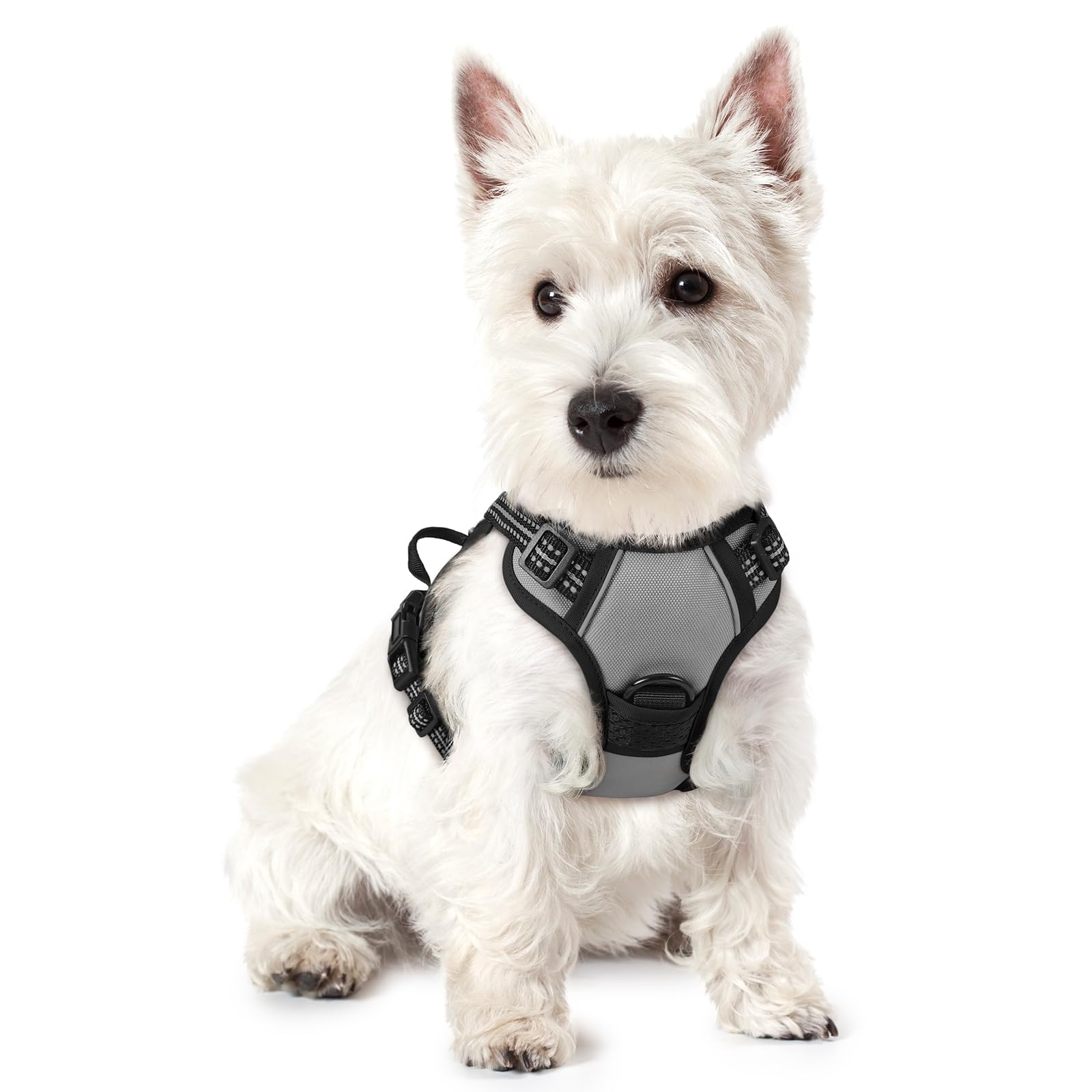rabbitgoo Dog Harness Small Dog No Pull Pet Harness with 2 Leash Clips, Adjustable Soft Padded Pet Vest, Reflective No-Choke with Easy Control Handle for Training or Walking, Grey, XS — image 1