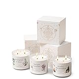 3 Pack Candles for Home Scented, 40.2 oz Large 3